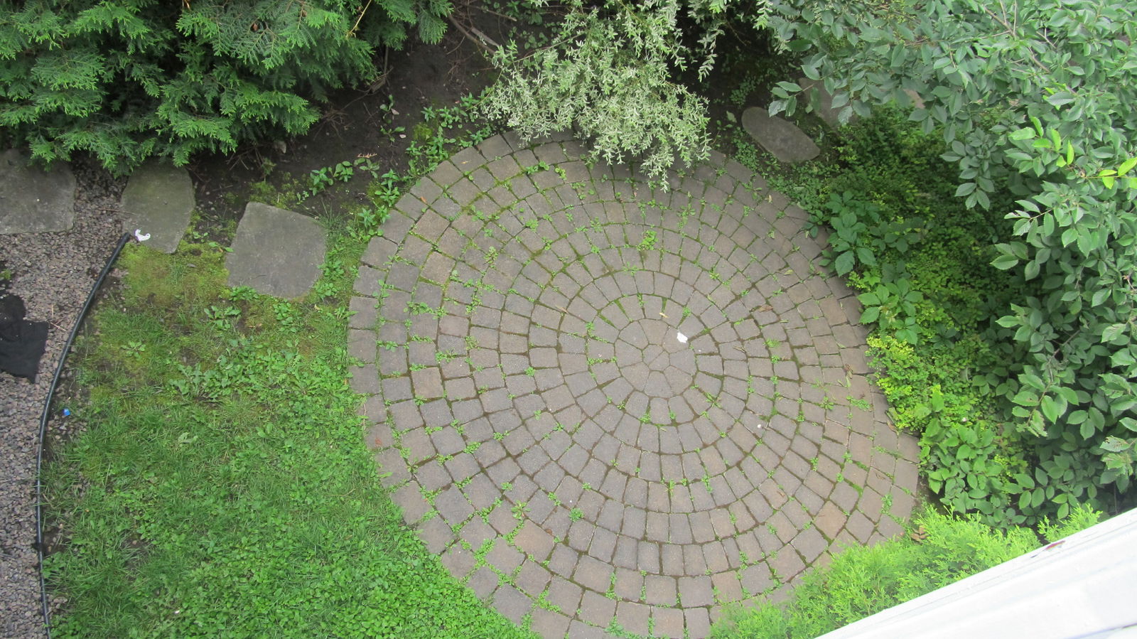 Colocação Québec 117429