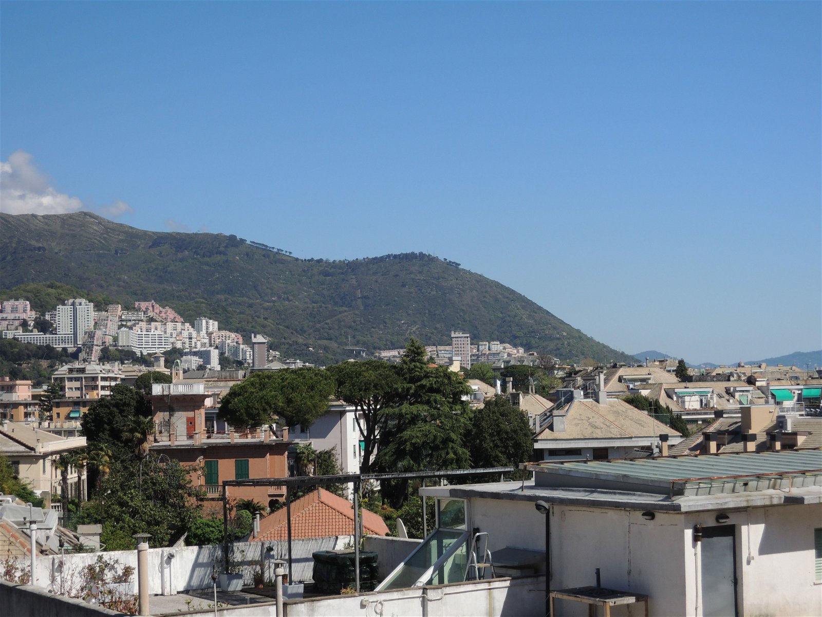 Colocation Genova 172500