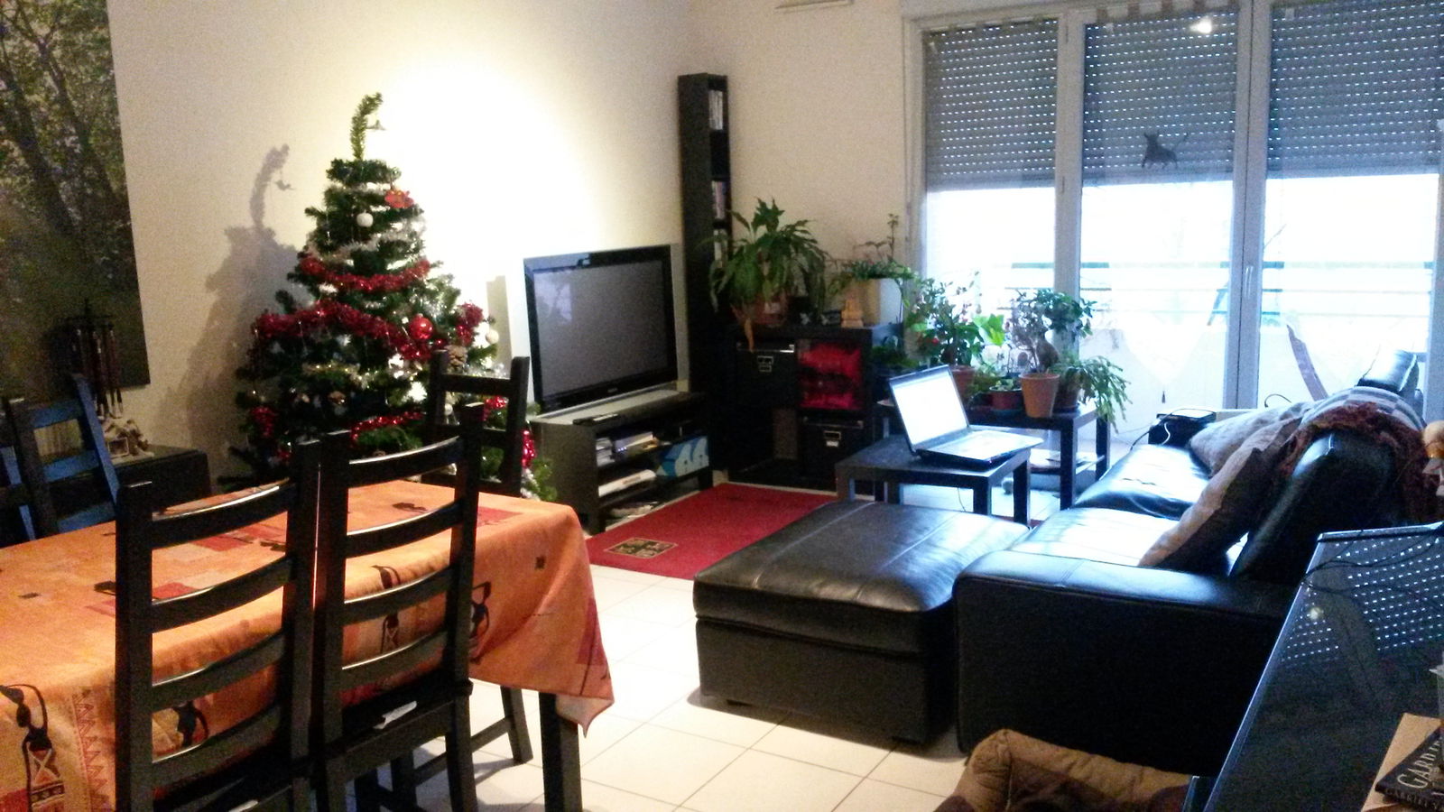 Colocation Toulouse 95733