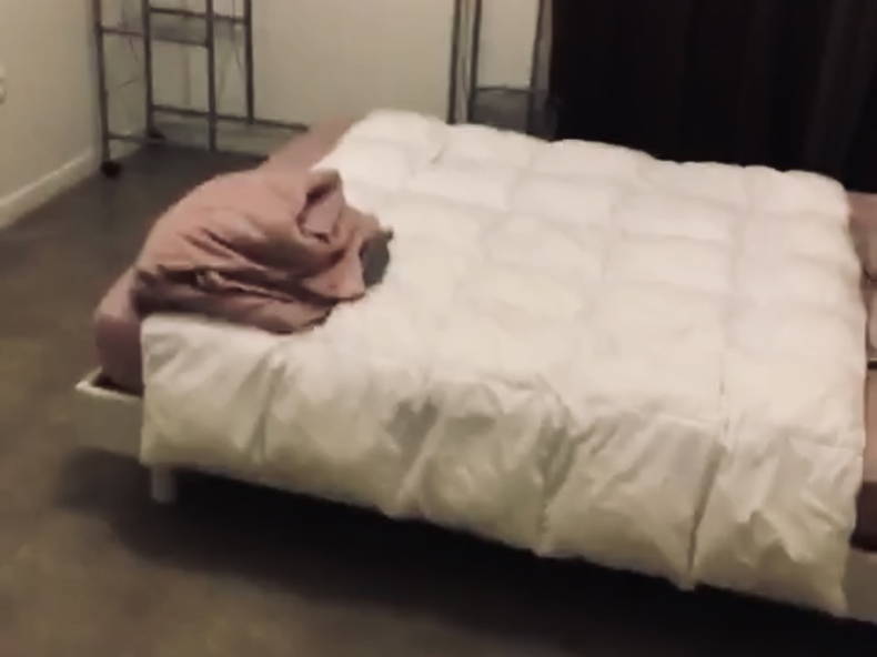 Colocation Vitry-sur-Seine 256115-2