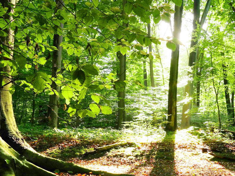 Colocation Onex 117254-1