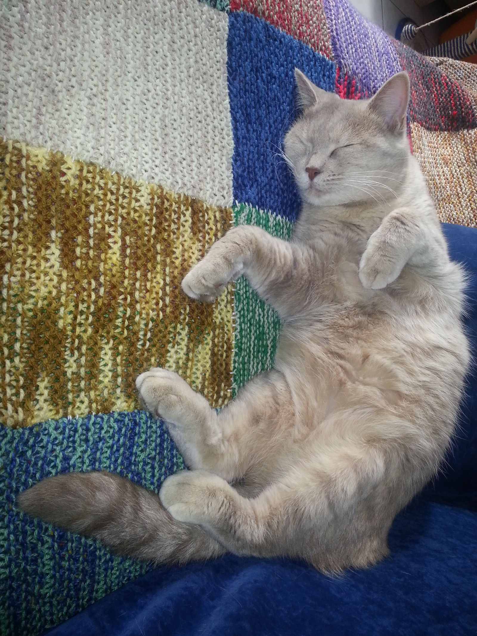 Colocation Longeville-lès-Metz 63696