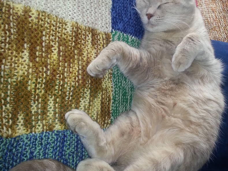 Colocation Longeville-lès-Metz 63696-5