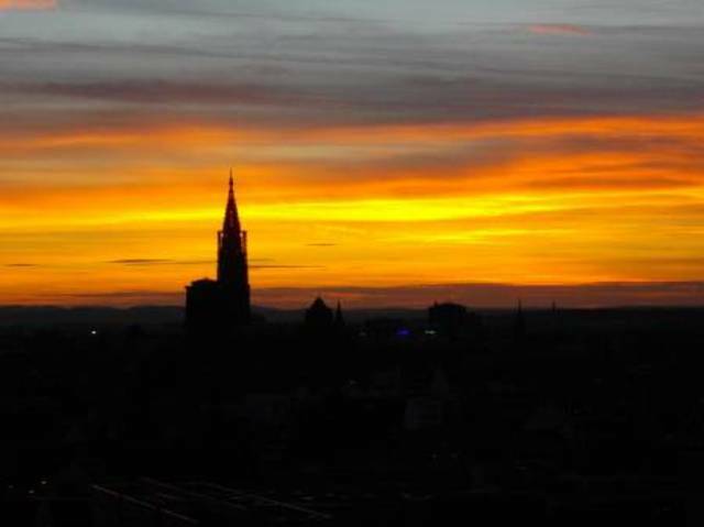 Colocation Strasbourg 58189