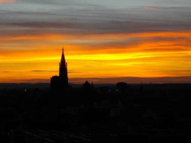 Colocación Strasbourg 58189-2