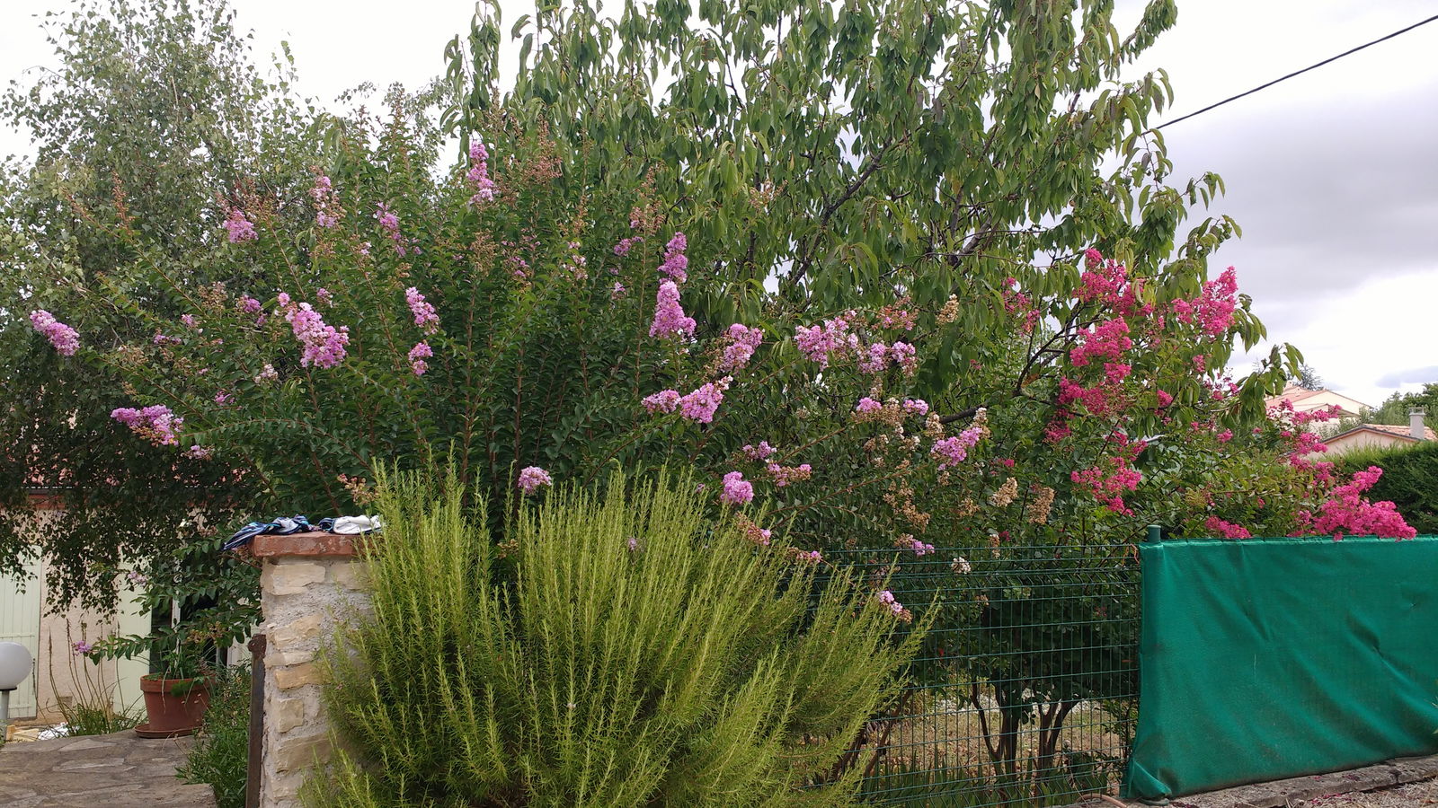 Famiglia Le Sequestre 65146