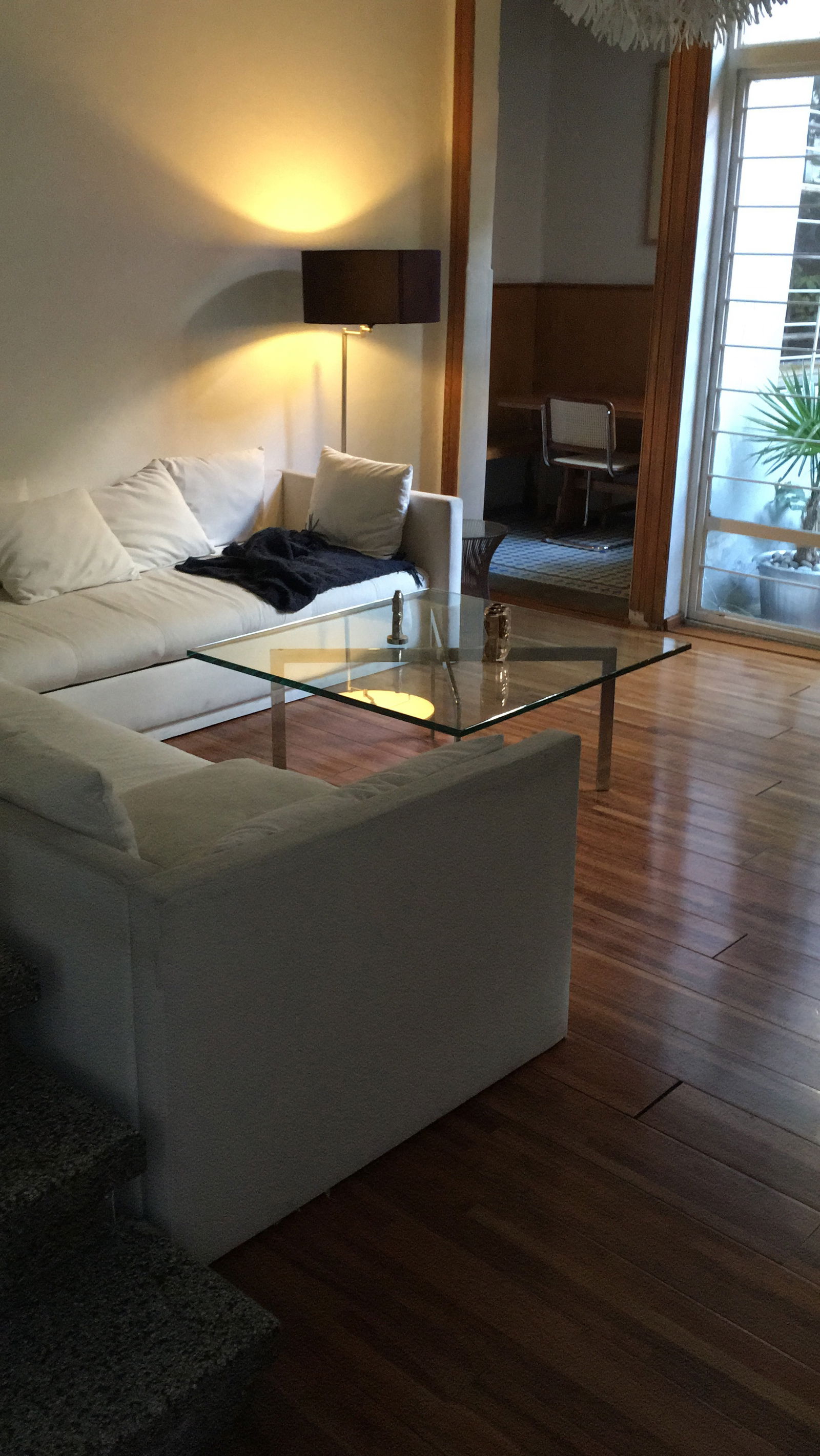 Homestay México D.F. 245794