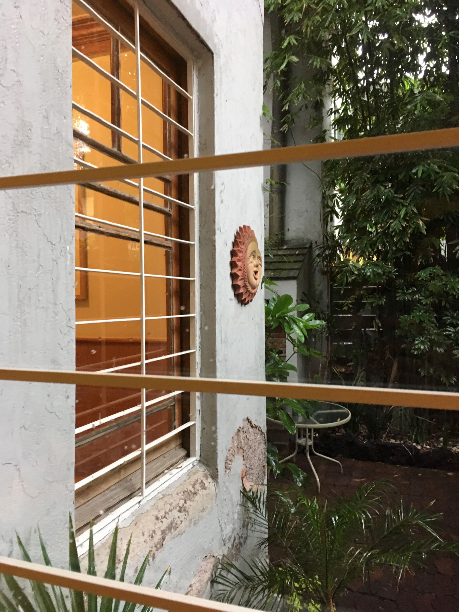 Homestay México D.F. 245794