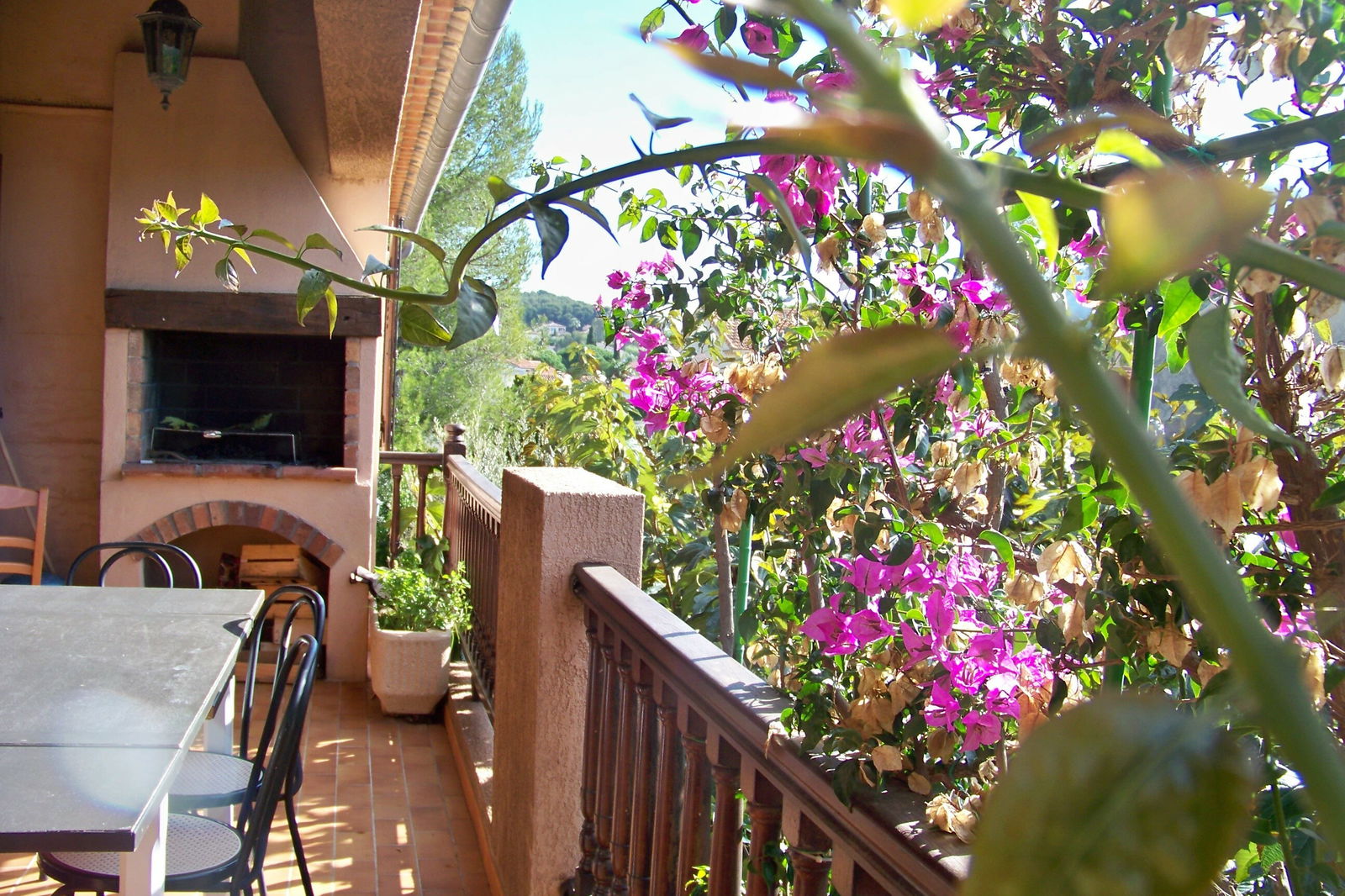 Homestay Le Pradet 98009