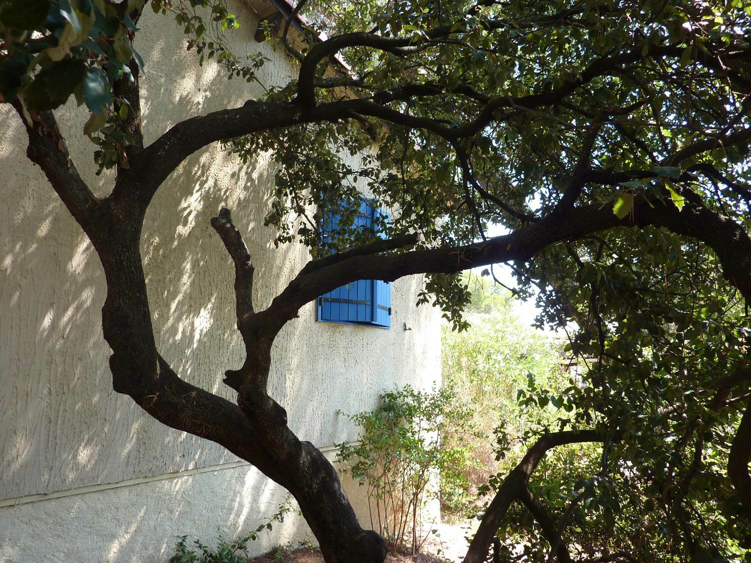 Itsenäinen Studio Puget-sur-Argens 98355