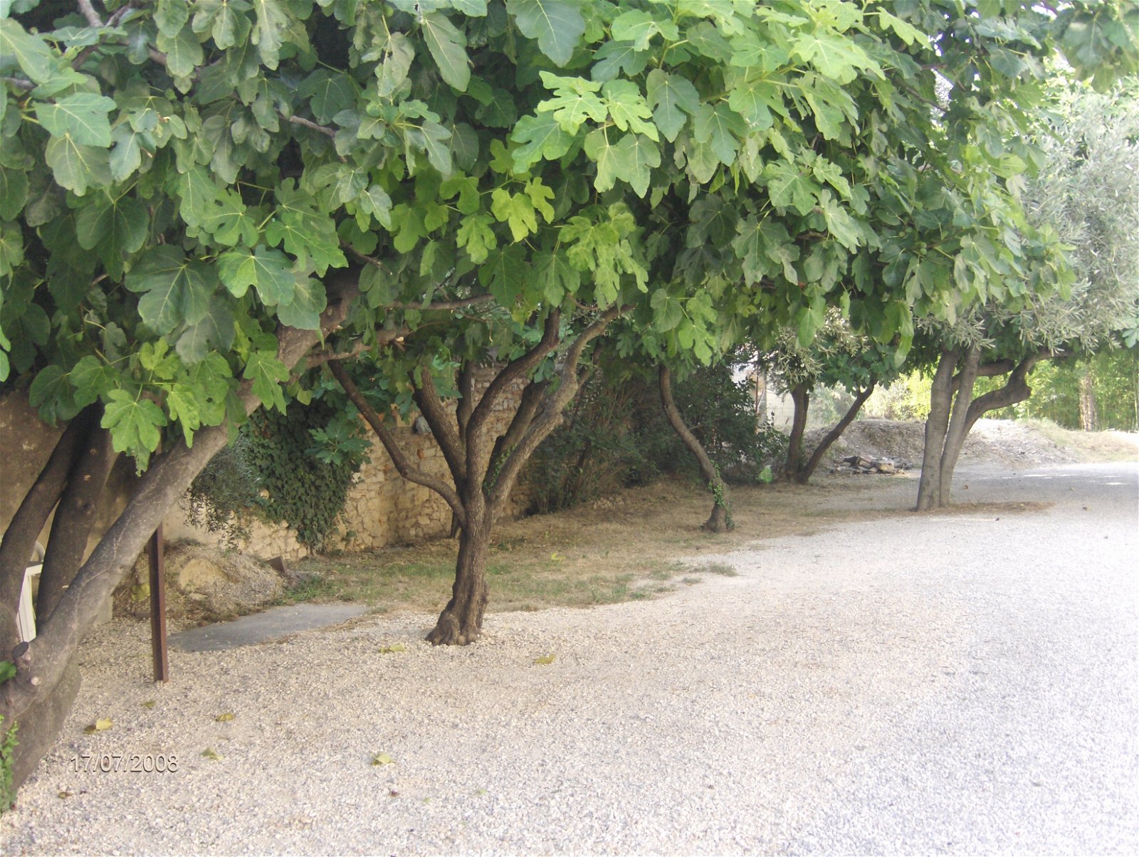Hemvistelse Nîmes 182219