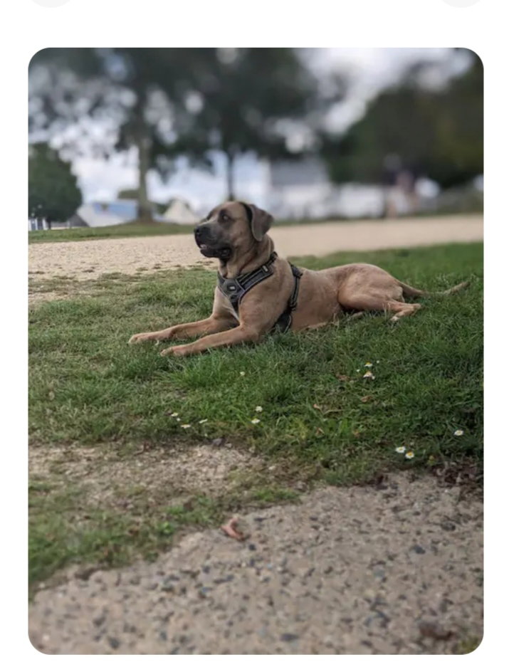 Zakwaterowanie U Rodziny Saint-Jean-de-Luz 659832