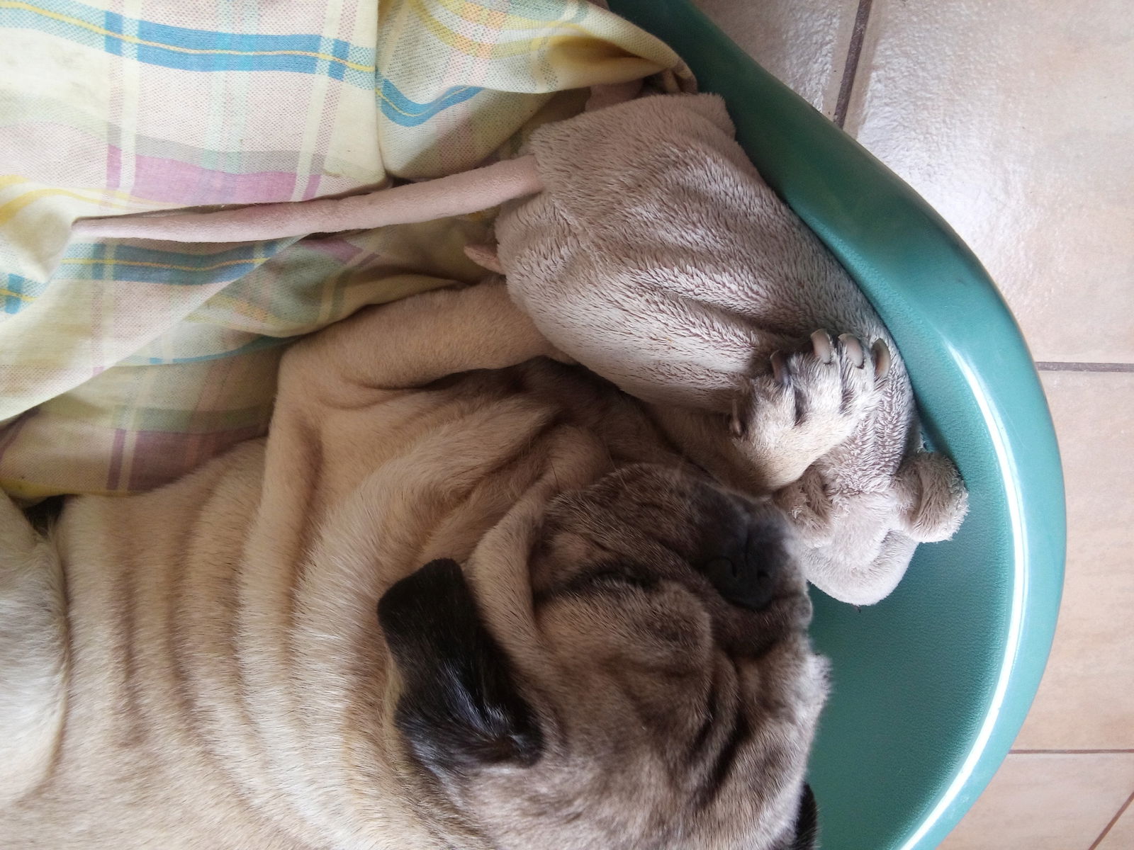 Zakwaterowanie U Rodziny Las Palmas de Gran Canaria 173008