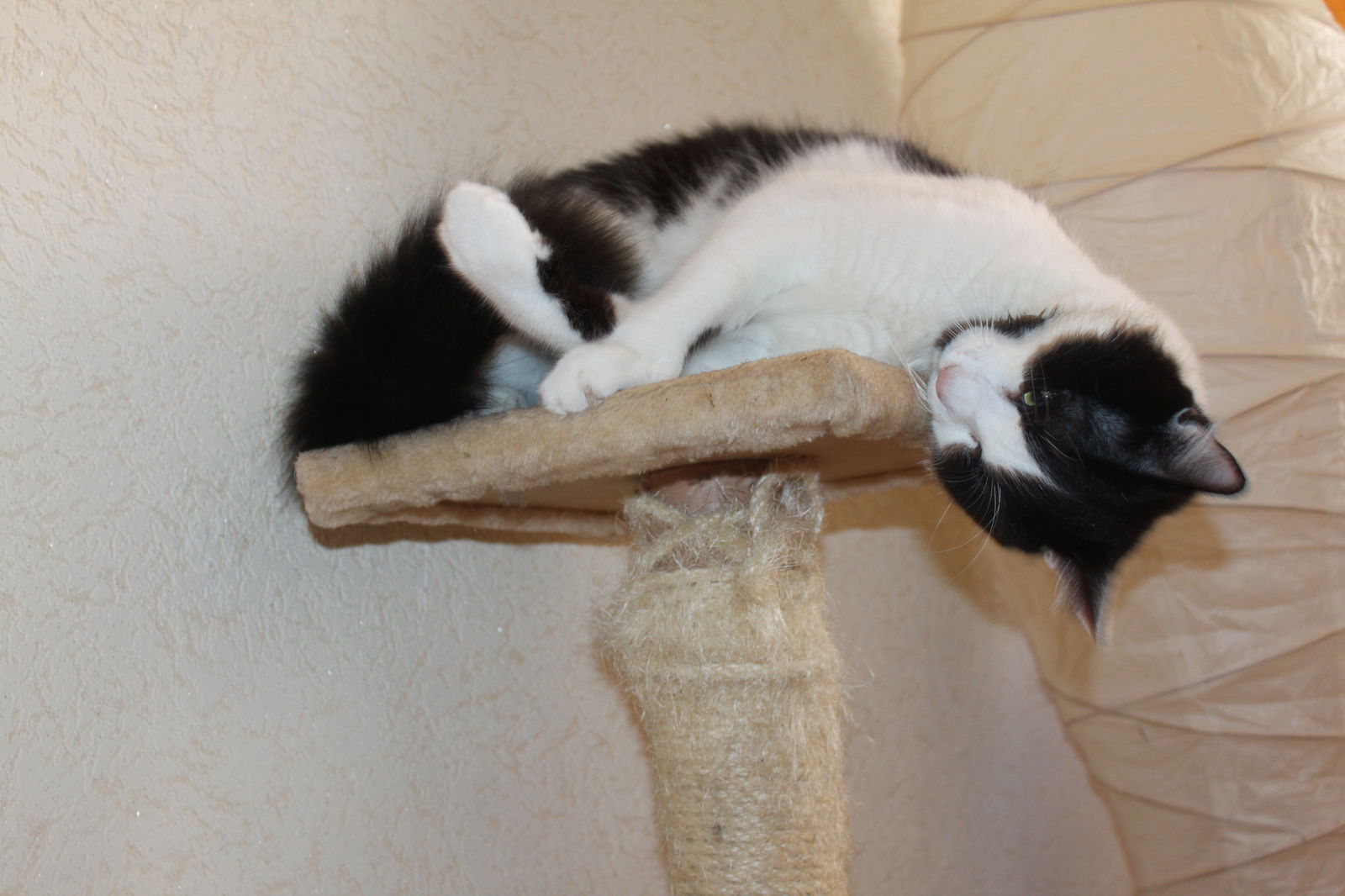 Kolokacja Marseille 95420