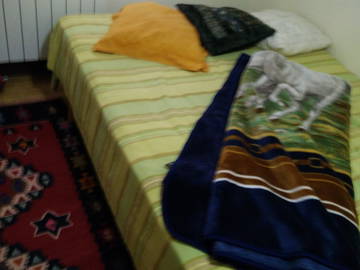 Roomlala | Przestronny i Jasny Pokój do Wynajęcia