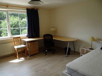 Roomlala | Przestronny pokój studencki (kot)