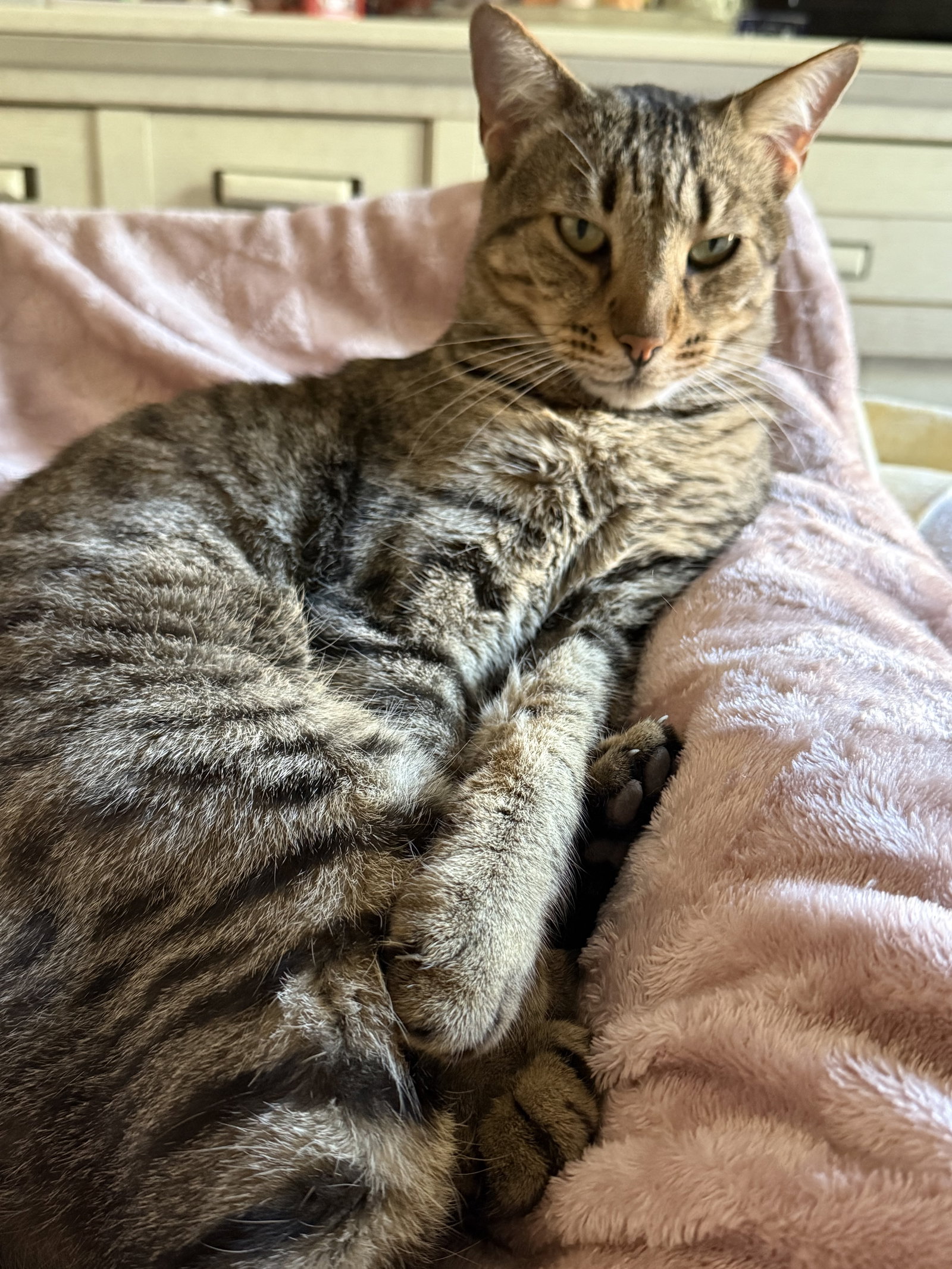 Kolokacja Saint-Chamas 628000