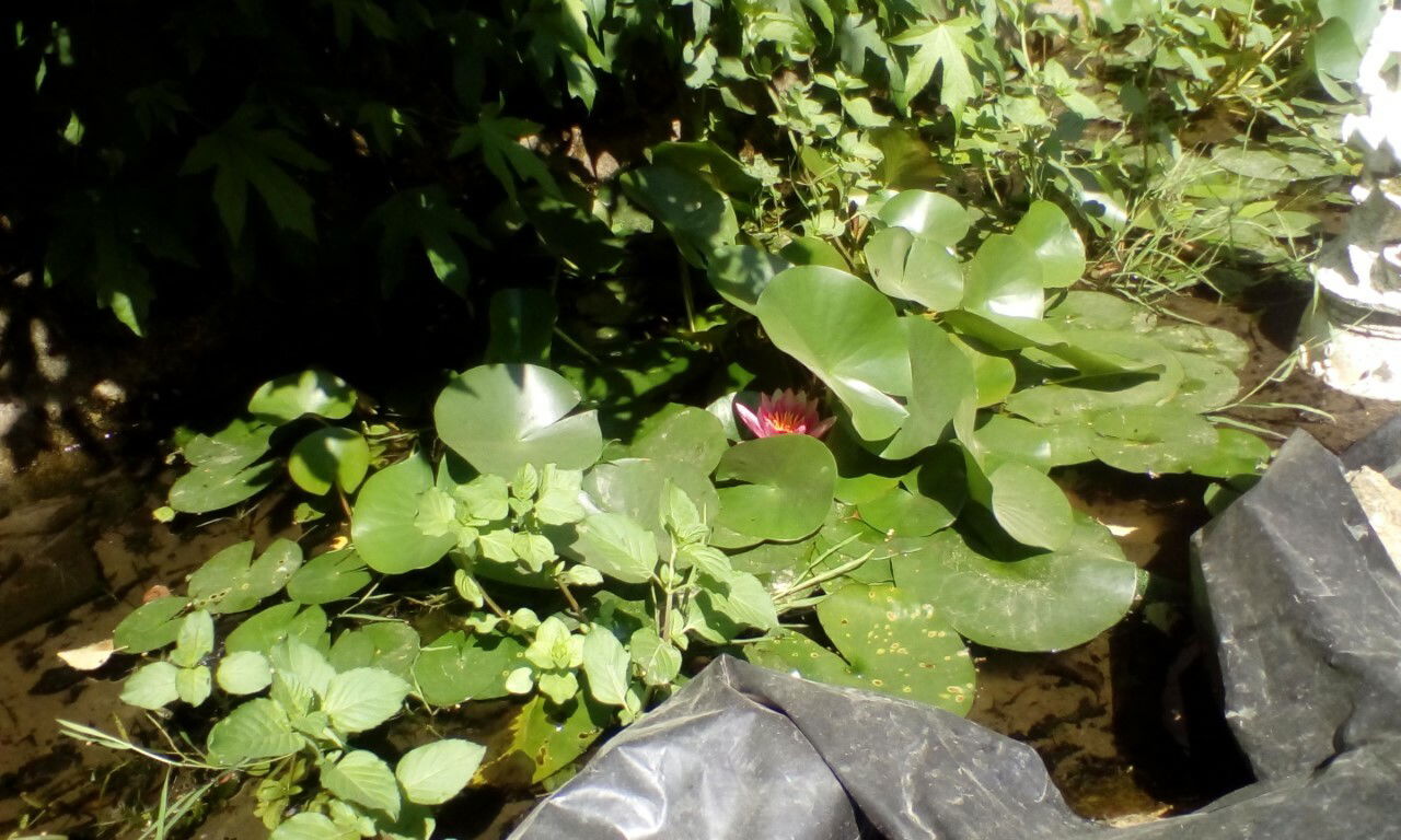 Zakwaterowanie U Rodziny Plémet 257187