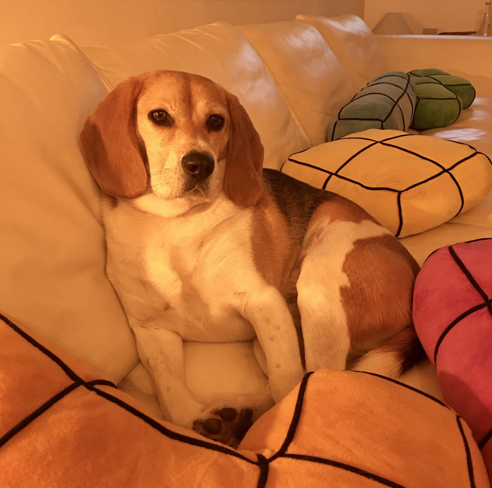 Zakwaterowanie U Rodziny Sartrouville 492747