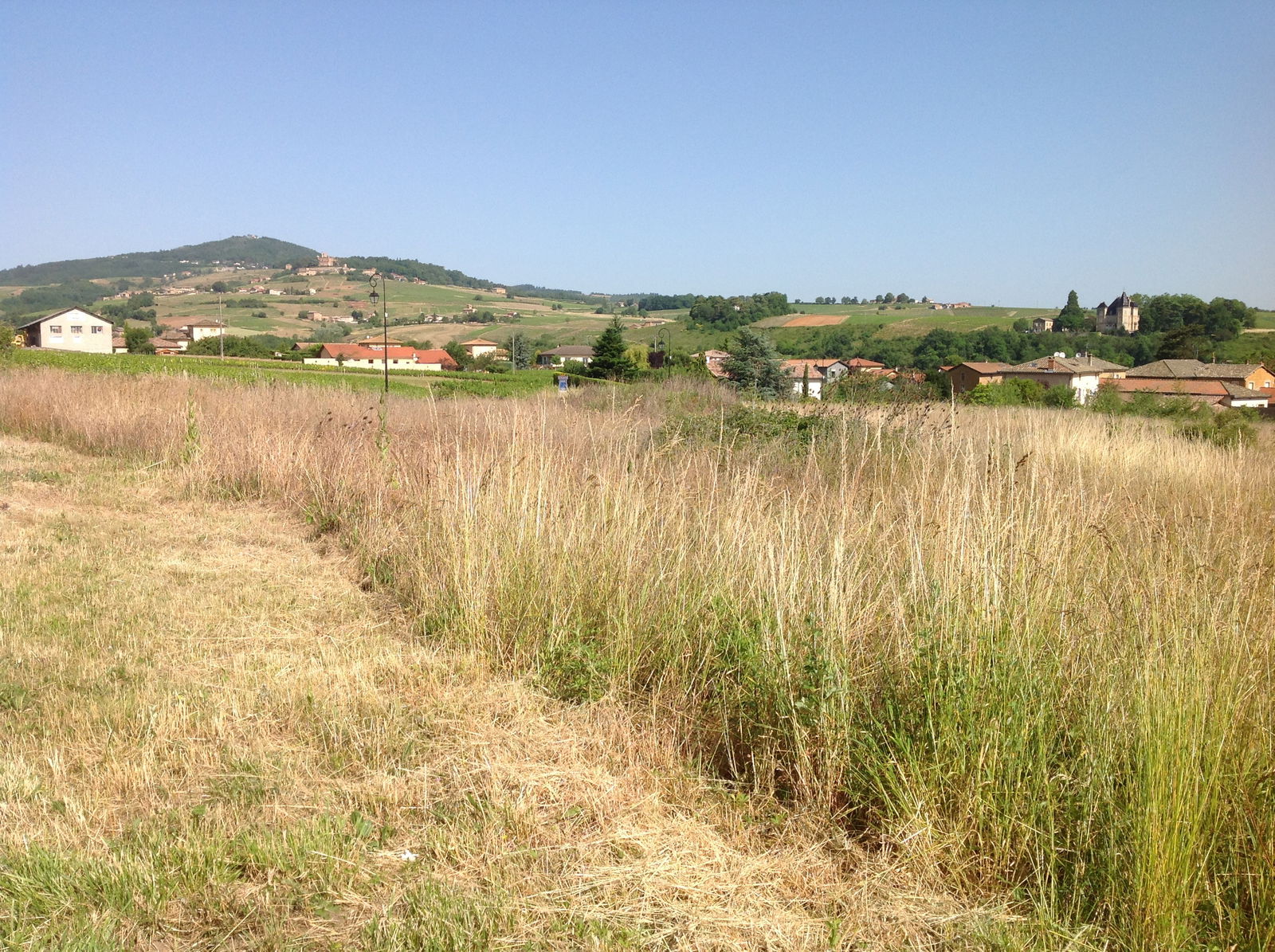 Zakwaterowanie U Rodziny Denicé 75267