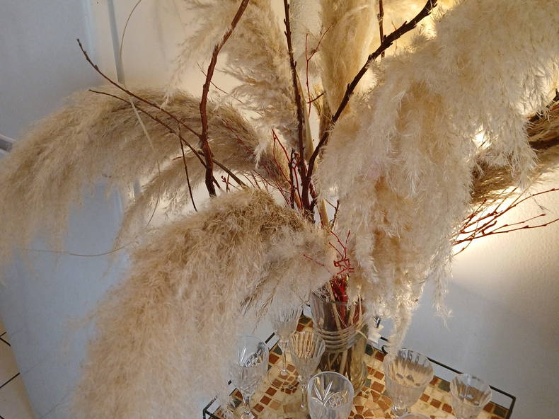 Homestay Toulouse 451253-2