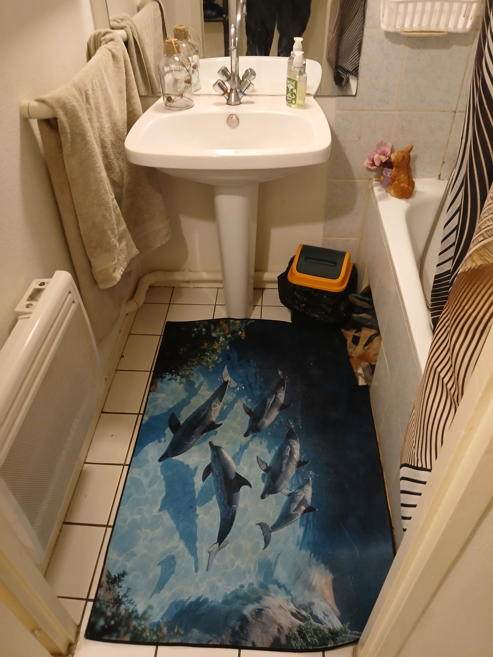 Chambre Chez L'habitant Toulouse 451253