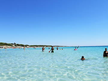 Logement Entier Torre Suda 191664-9