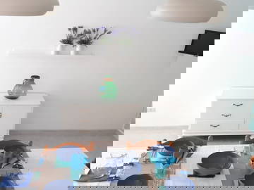 Logement Entier Torre Suda 191664-5