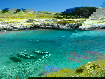 Logement Entier Torre Suda 191664-10