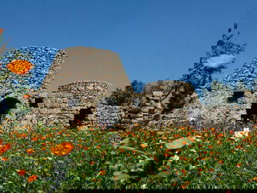 Logement Entier Torre Suda 191664-12