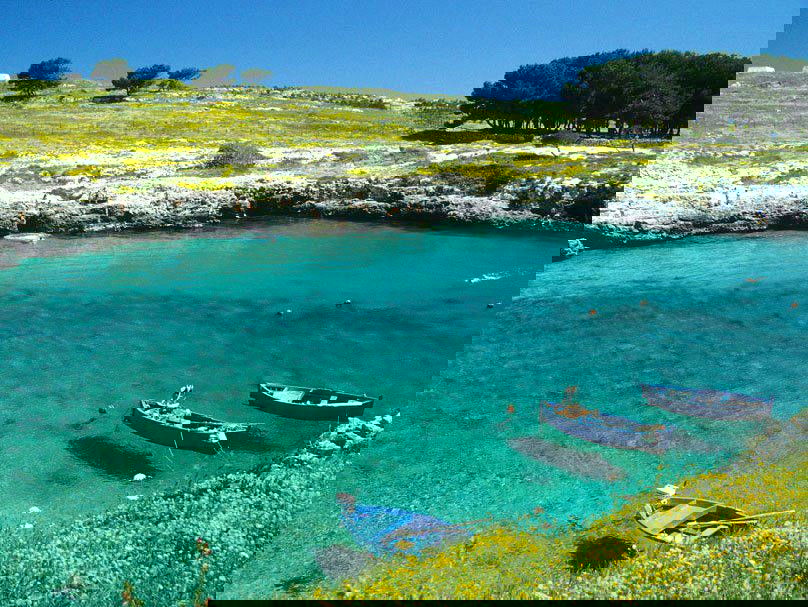 Tutta La Casa Torre Suda 191664