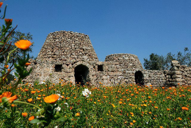 Tutta La Casa Torre Suda 191664