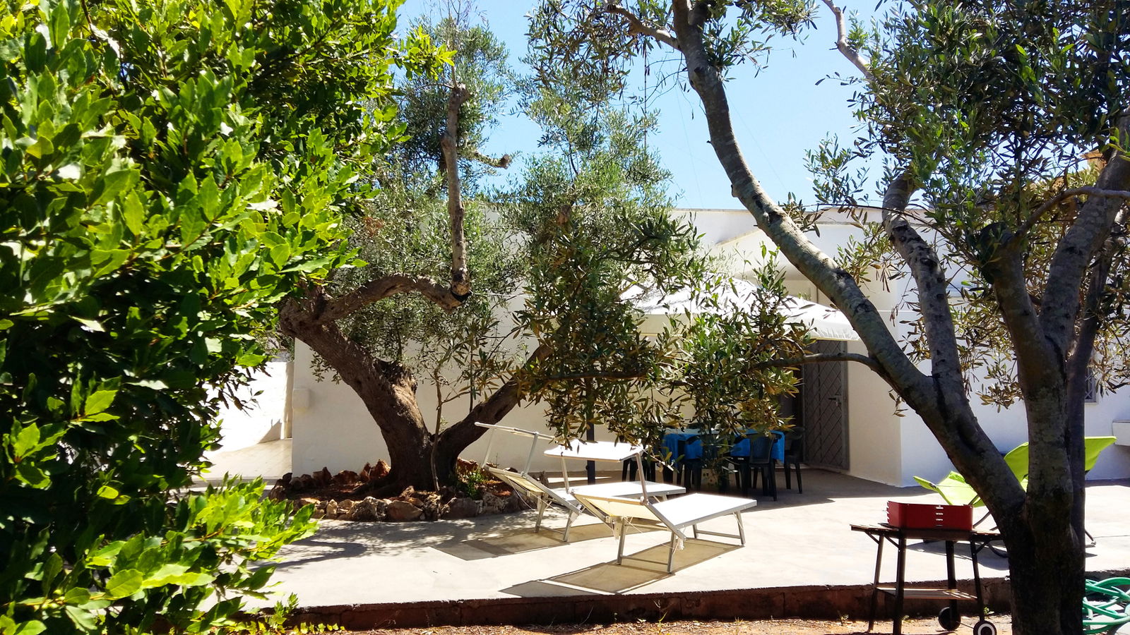 Tutta La Casa Torre Suda 267366