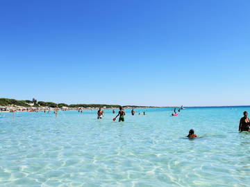 Logement Entier Torre Suda 267366-15