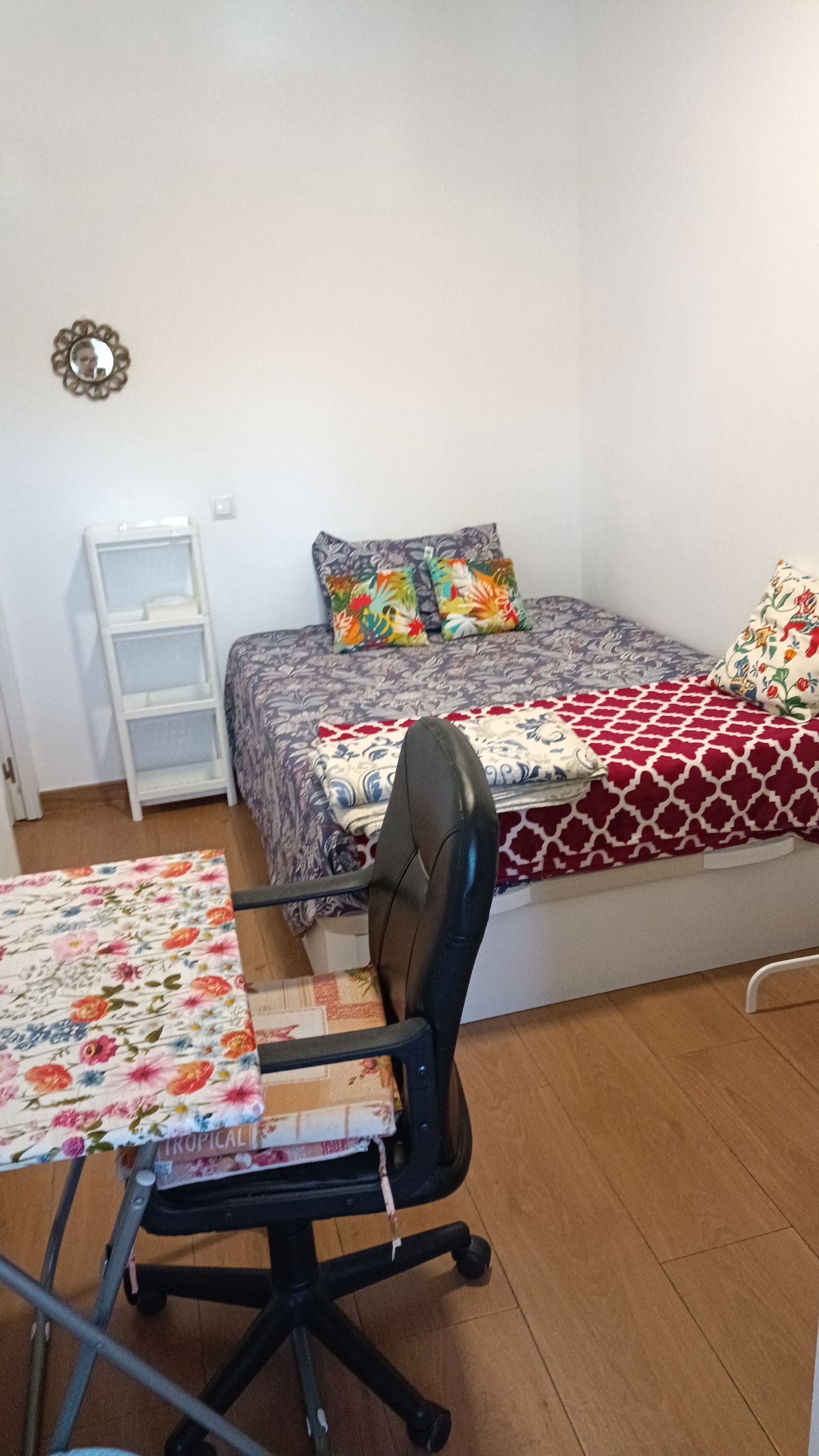 Colocation Madrid 245945