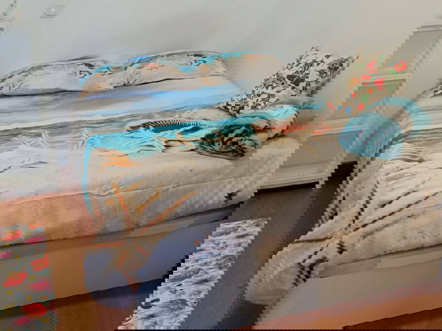 Colocation Madrid 245945-1