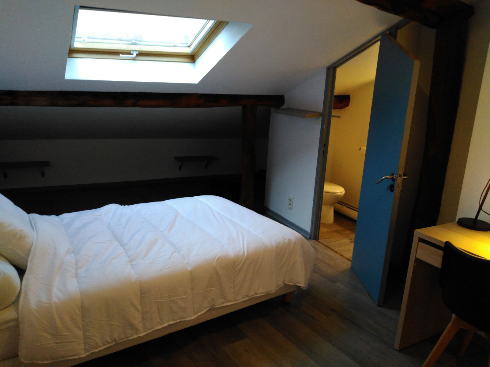 Kolokasie Limoges 395530