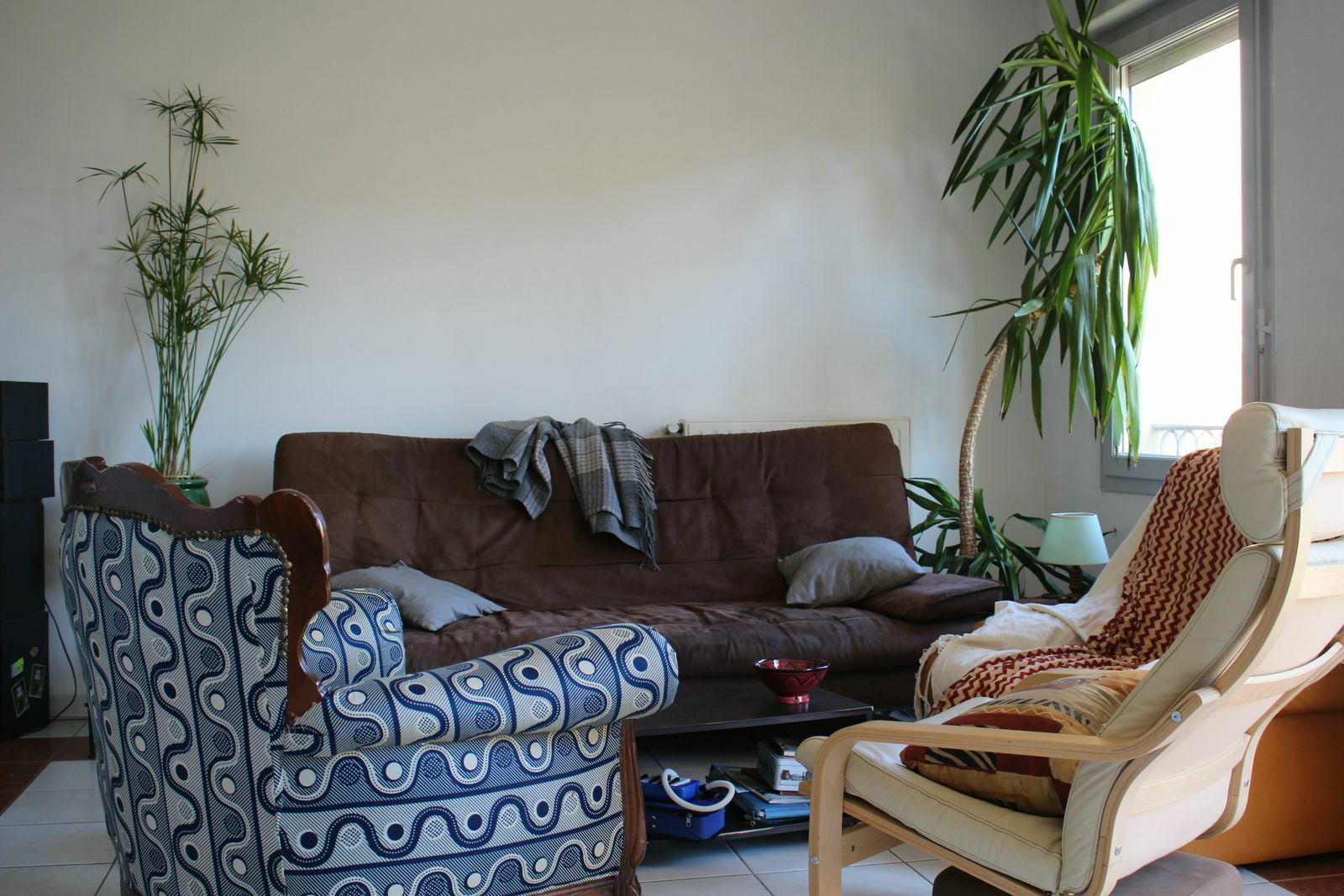 Kolokasie Toulouse 118790