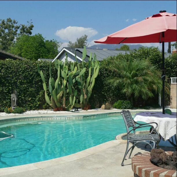 Famiglia Glendora 189291