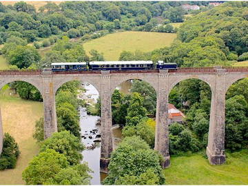 Chambre D'hôte Mortagne-Sur-Sèvre 159499-11