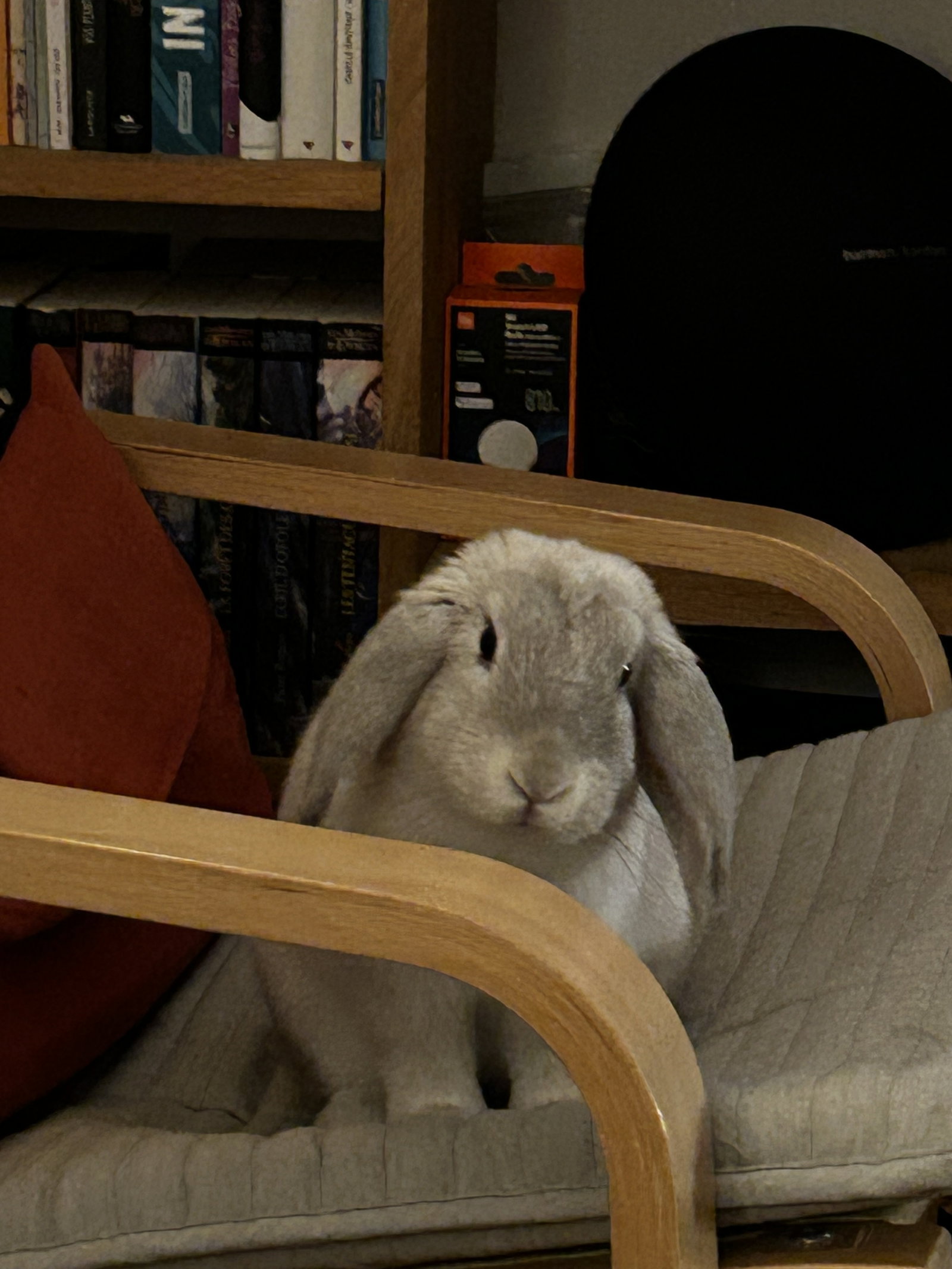 Hospedagem Em Casa De Família Châtillon 661489