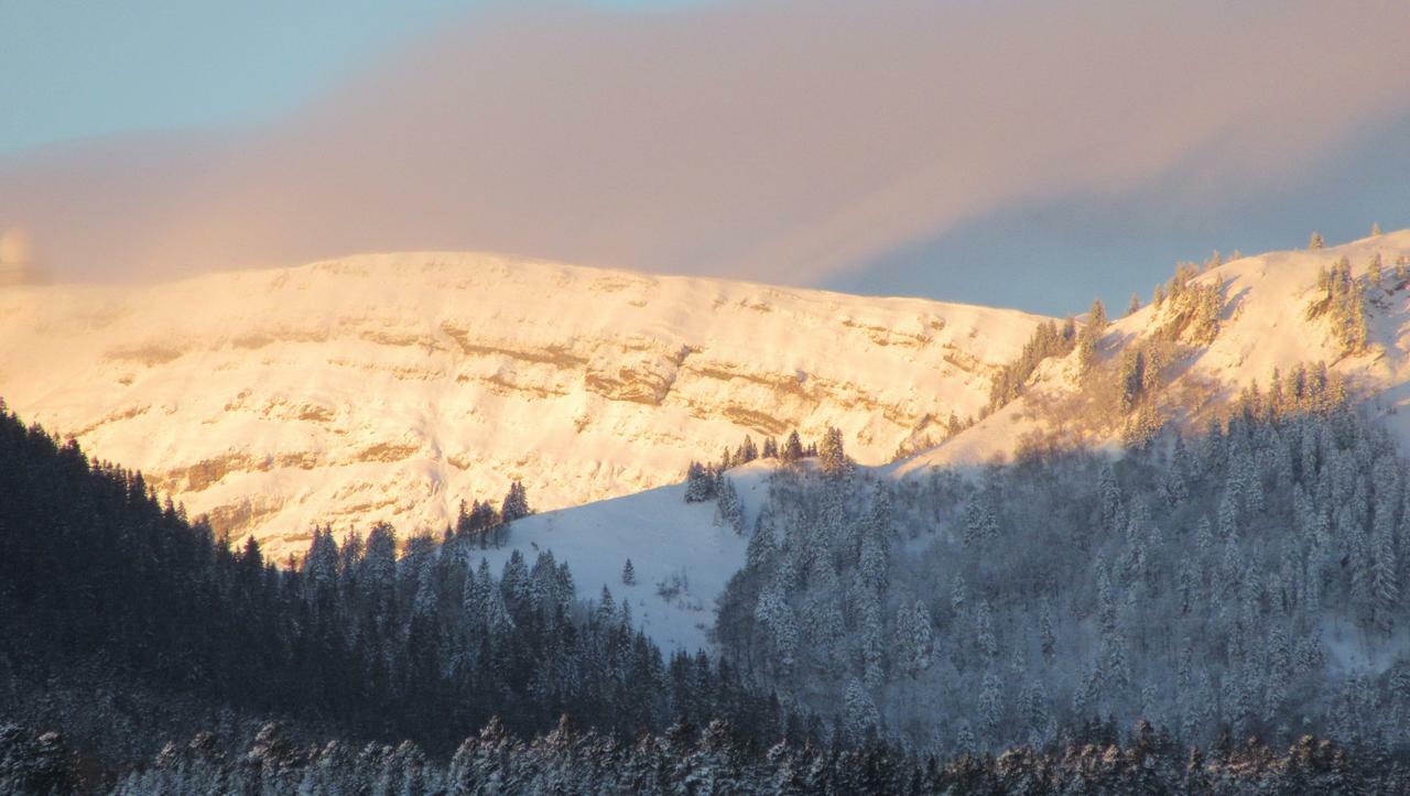 Hospedagem Em Casa De Família Saint-Cergue 246687