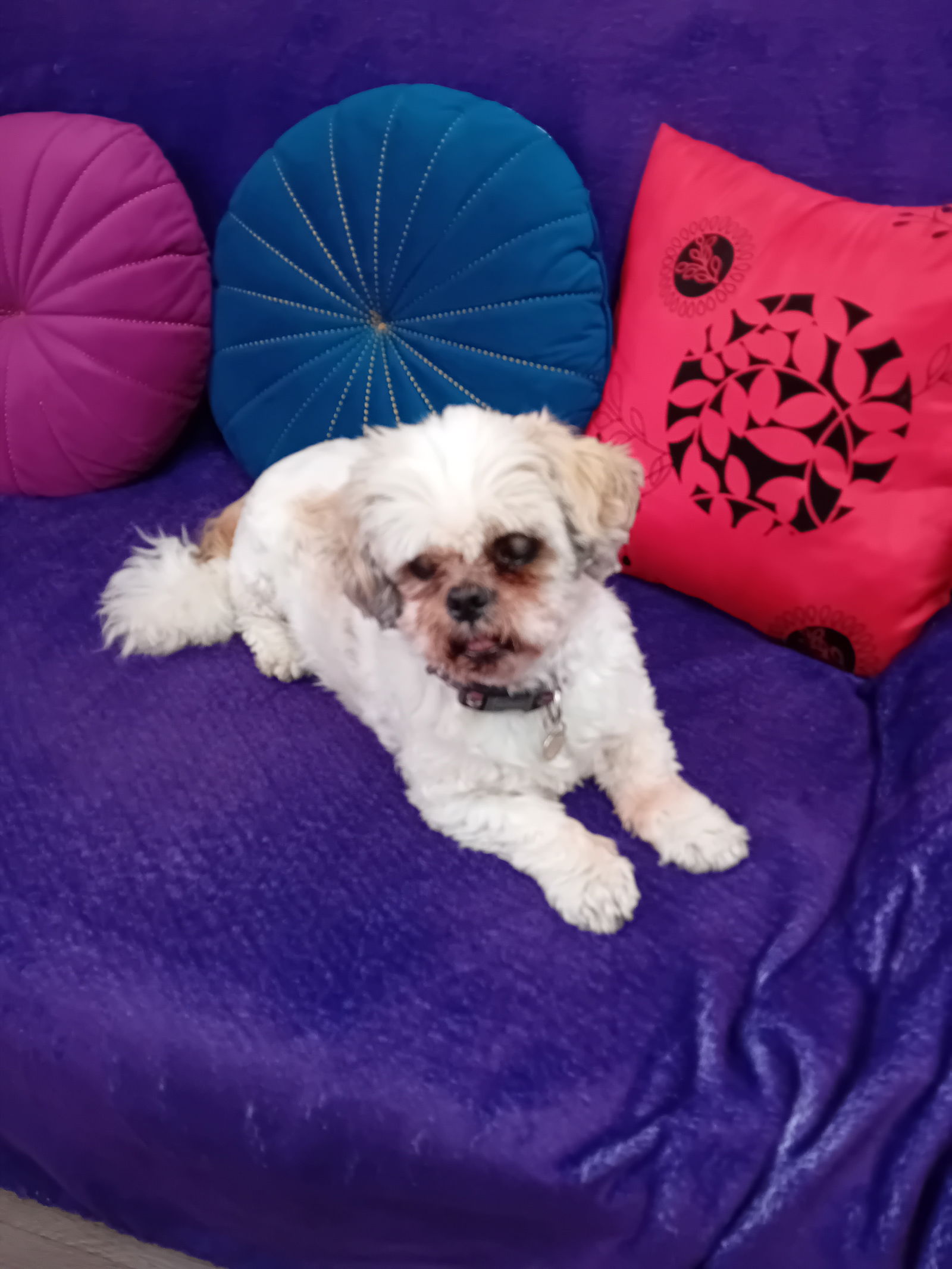 Hospedagem Em Casa De Família Mondeville 626653