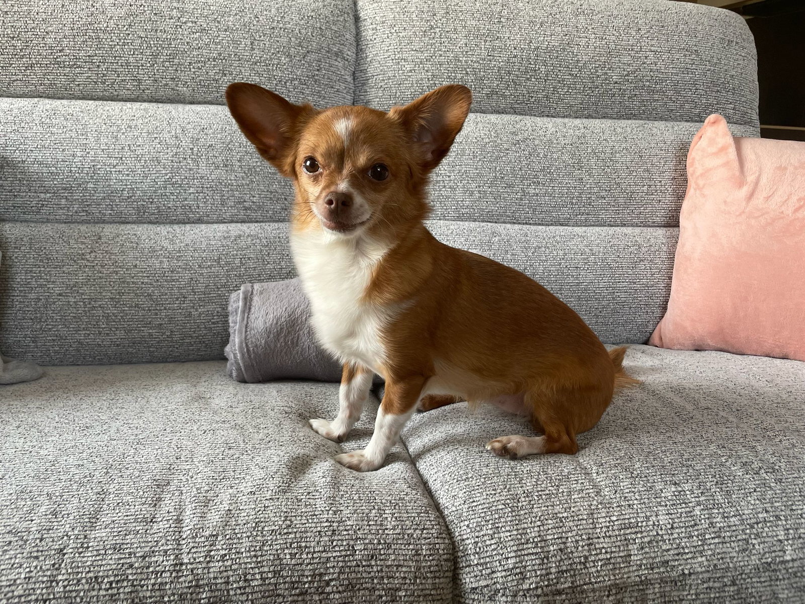 Hospedagem Em Casa De Família Treycovagnes 660503