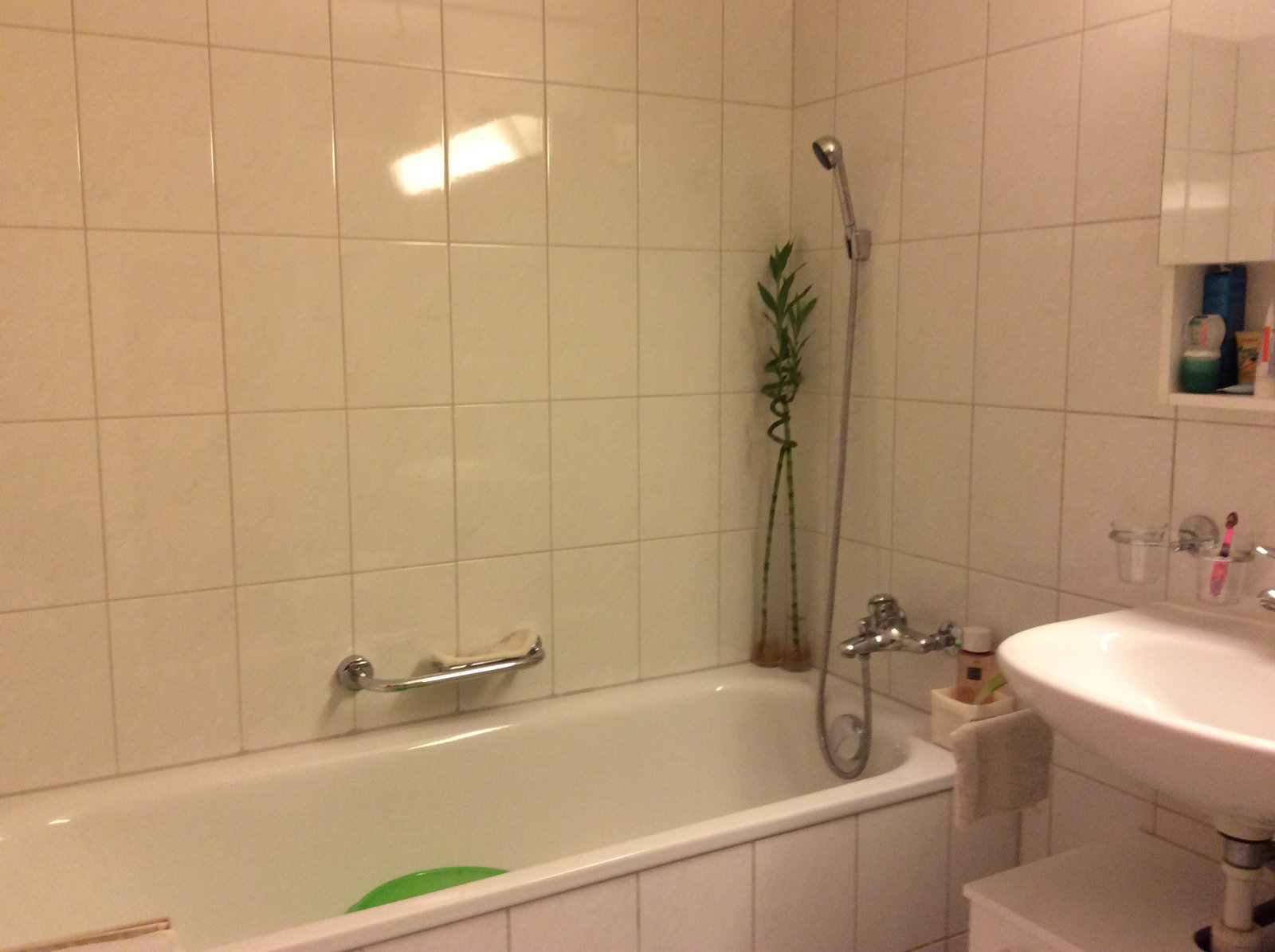 Hospedagem Em Casa De Família Zürich 248063