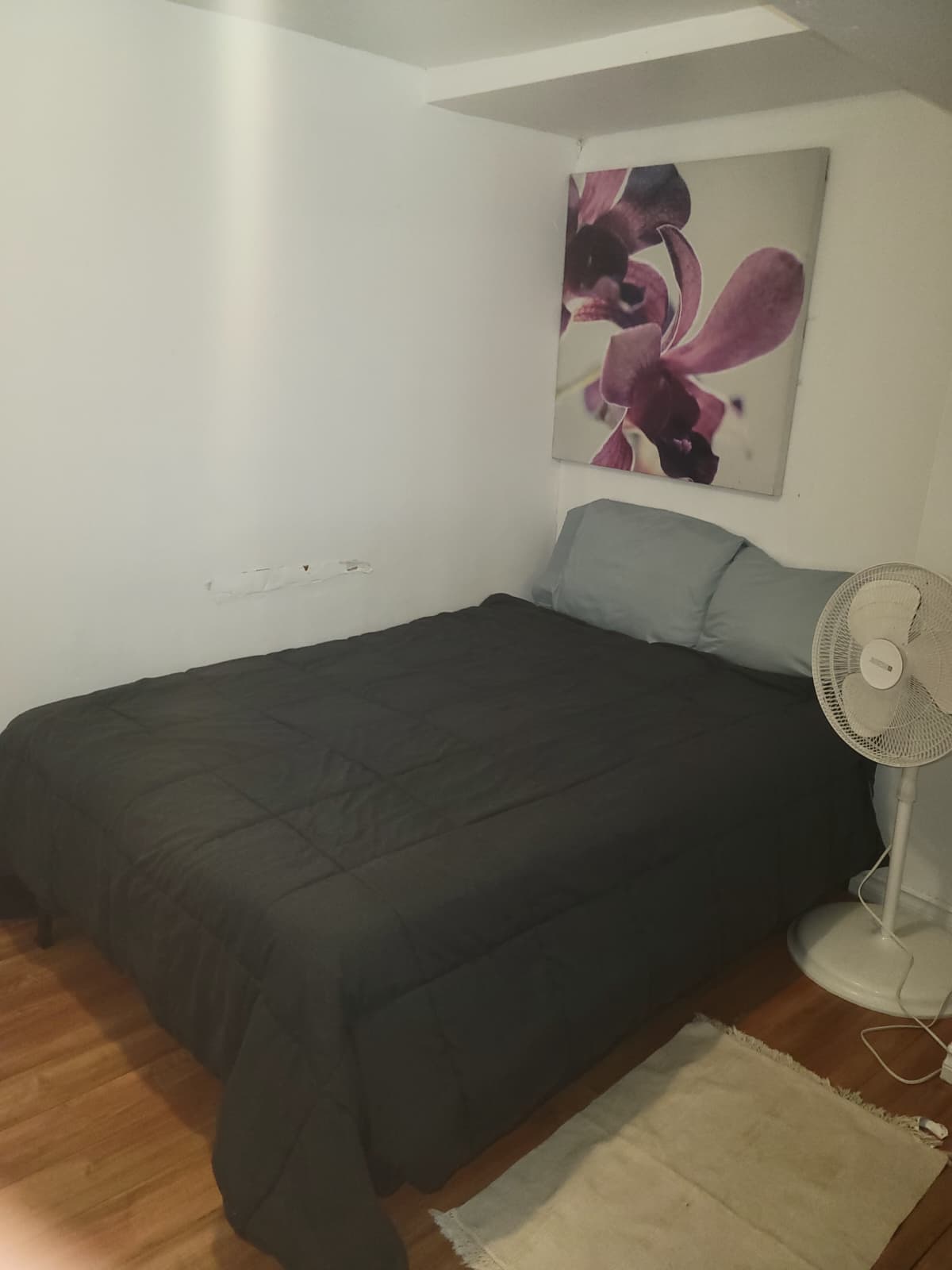 Colocação Montréal 660926