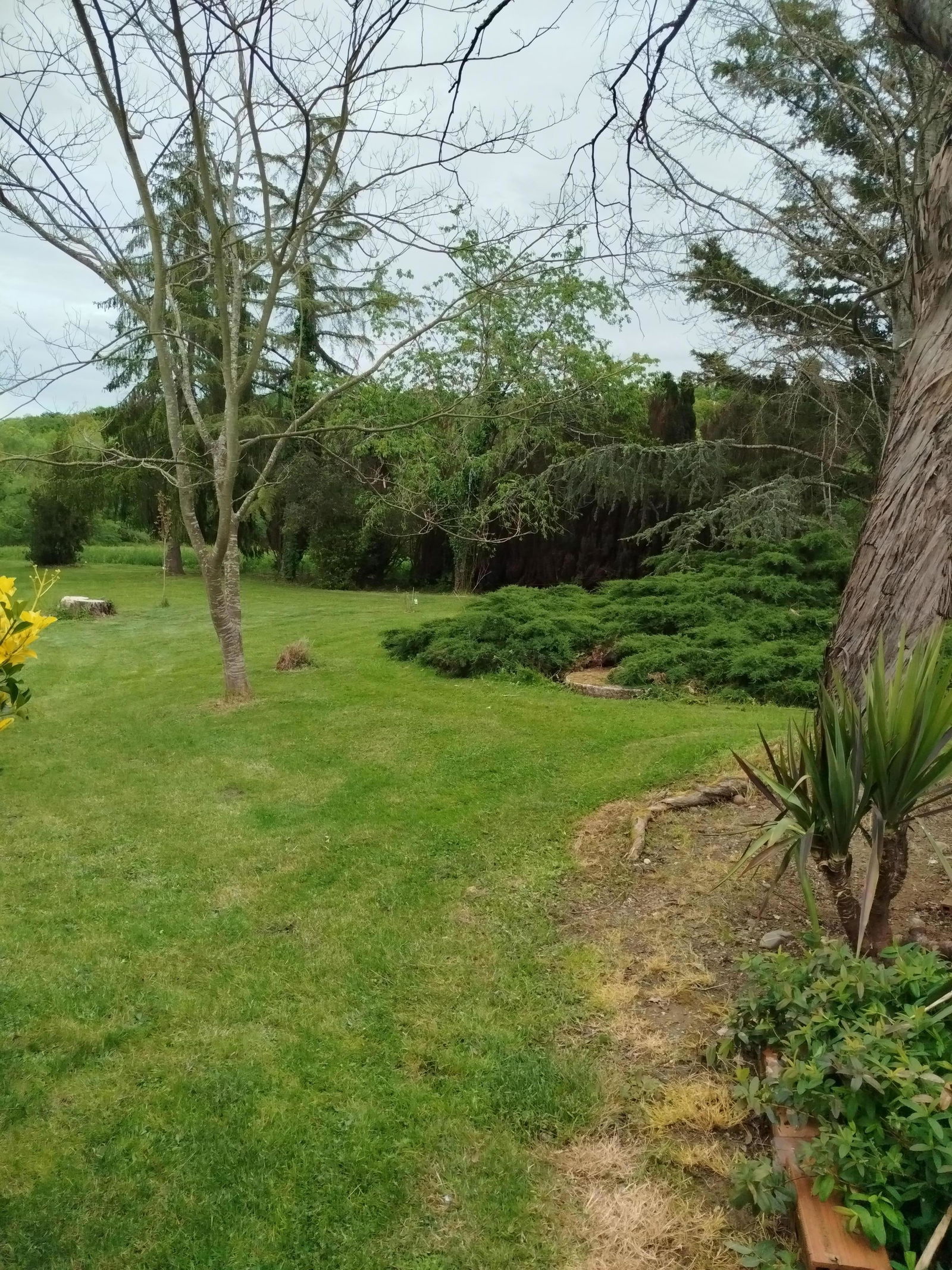 Hospedagem Em Casa De Família Libaros 376215