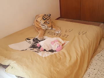 Roomlala | Quarto com cama futon