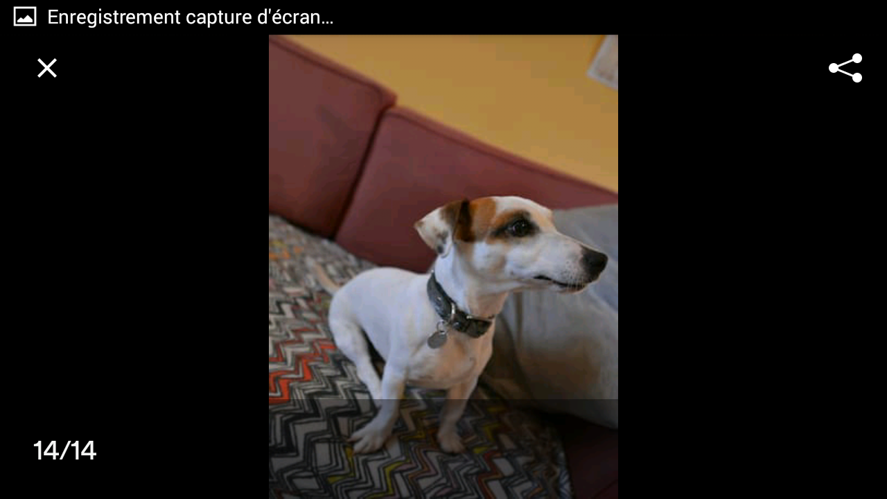 Hospedagem Em Casa De Família Liège 93088