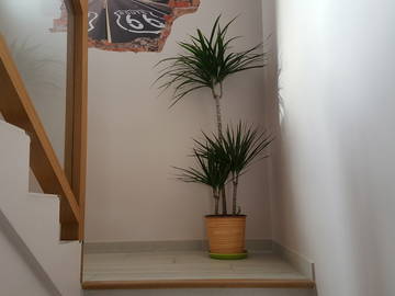 Roomlala | Quarto compartilhado